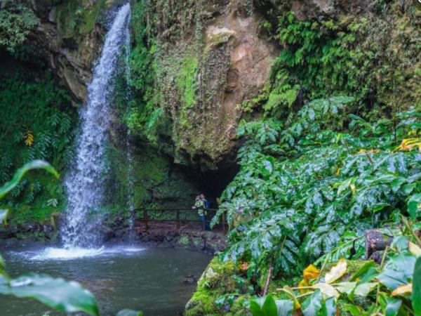 Azores whale watching and walking holiday