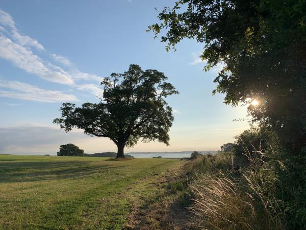 Offa's Dyke Path North walking holiday, Wales