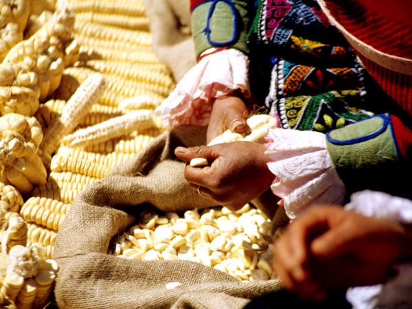 Cusco and Inca Trail holiday, Peru