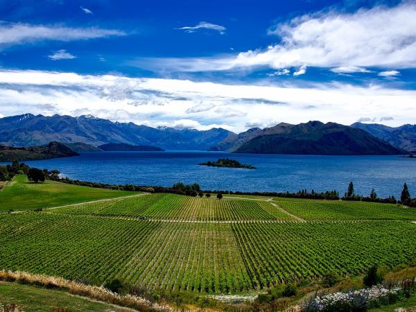Boutique self drive tour of New Zealand