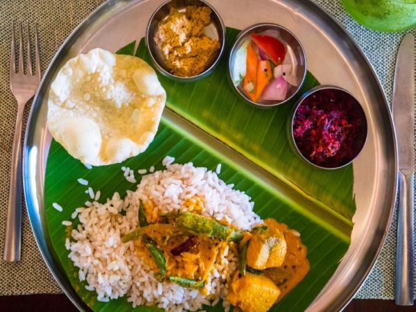 Golden Triangle & Kerala holiday, India