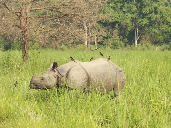 Nepal tailor made 8 day tour