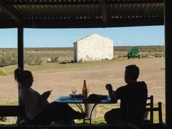 Argentina wildlife highlights tour