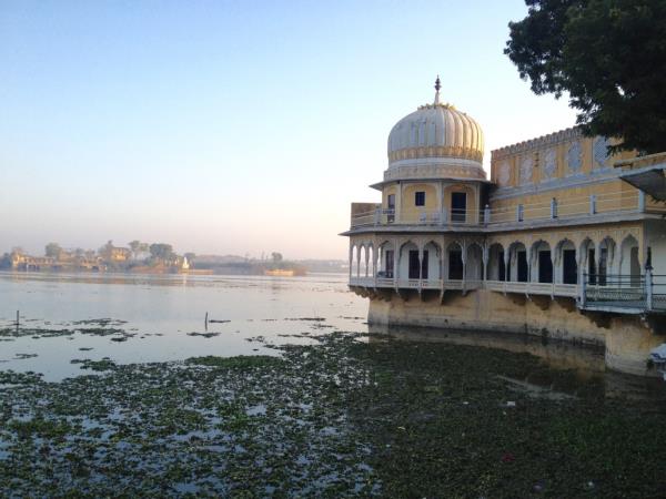 Vegan holiday in India