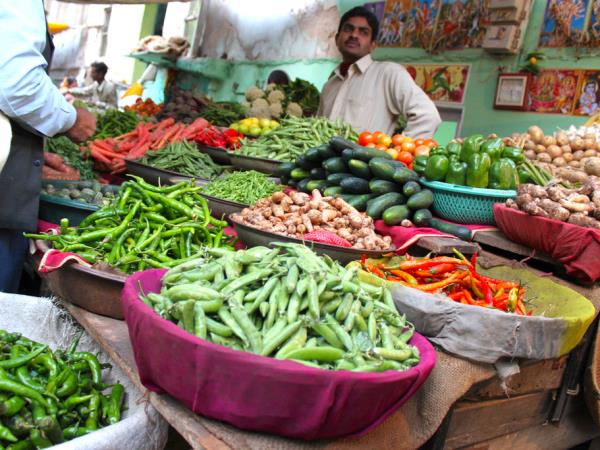 Vegan holiday in India