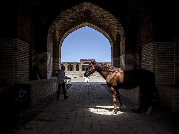 Iran Silk Road holiday, Southern route