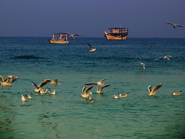 Iran Silk Road holiday, Southern route