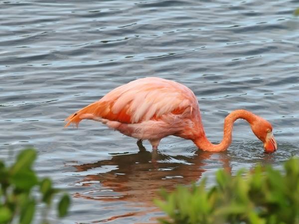 Galapagos Islands multi activity holiday
