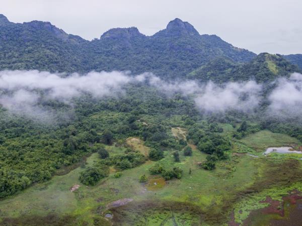 Sri Lanka culture and wildlife boutique holiday