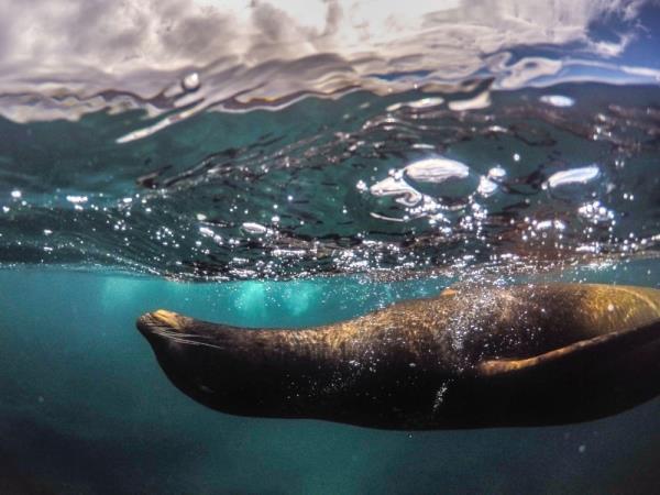 The best of Ecuador wildlife holiday