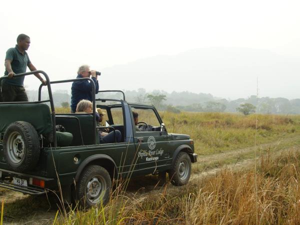 Brahmaputra river cruise, culture & wildlife