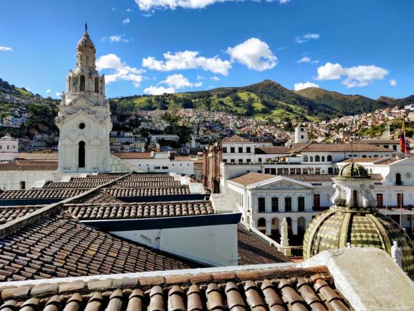 The best of Ecuador wildlife holiday
