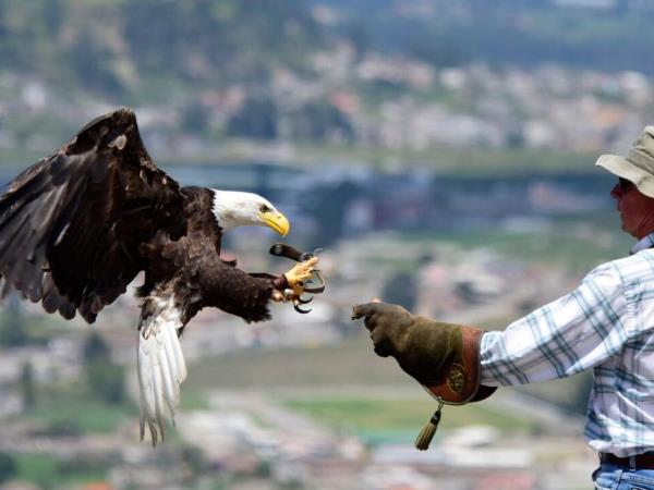 Ecuador and Galapagos family holiday