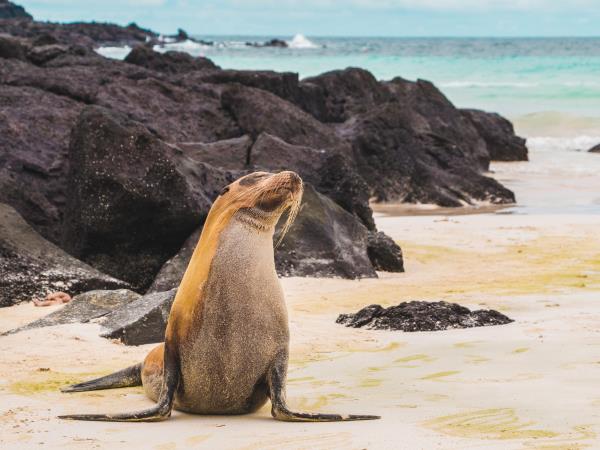 Ecuador and Galapagos family holiday