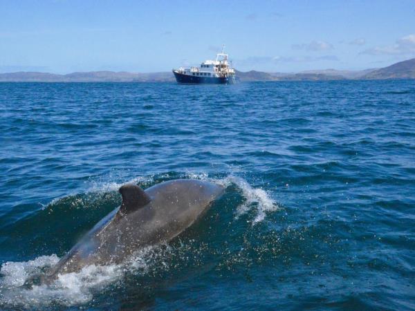 Autumn Inner Hebrides cruise