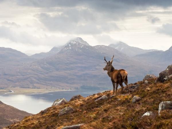 Autumn Inner Hebrides cruise