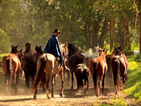 Ecuador horse riding holiday