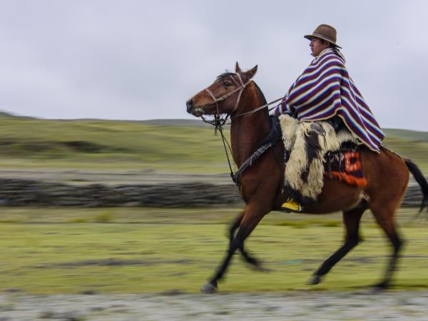Ecuador horse riding holiday