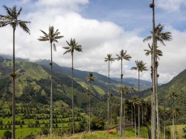 Colombia 19 day tour, Epic Odyssey