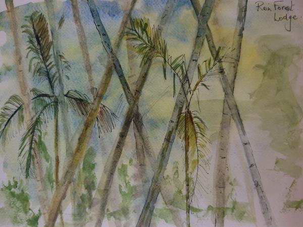 Painting holiday in Sri Lanka