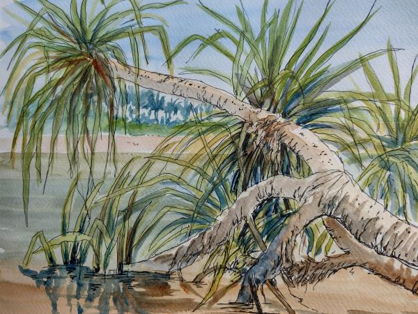Sri Lanka sketching and painting holiday