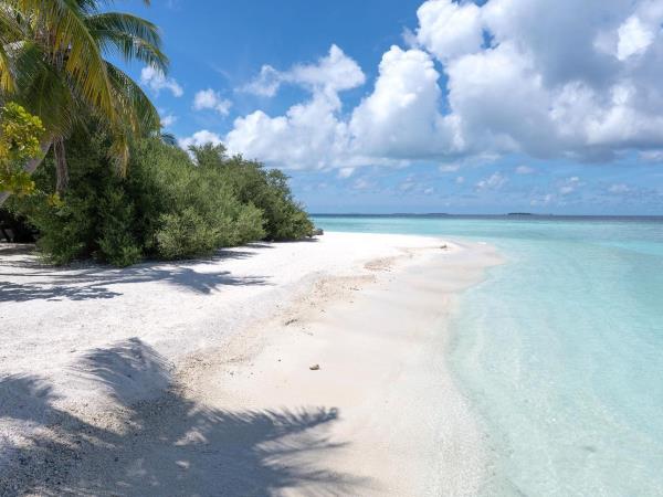 Kerala highlights and Maldives holiday