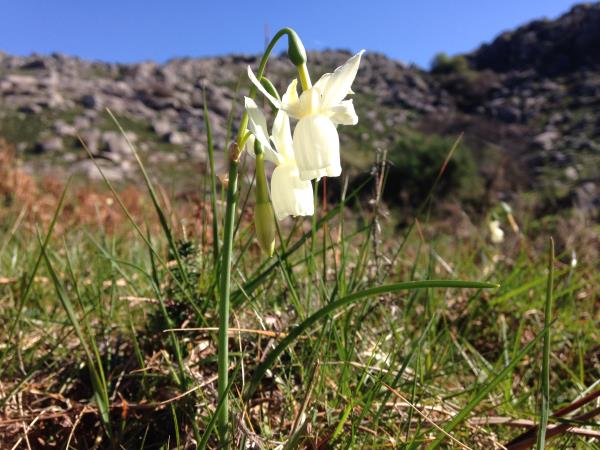 Peneda Geres National Park self guided walking holiday