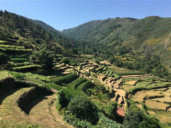 Northern Portugal walking holiday, self guided