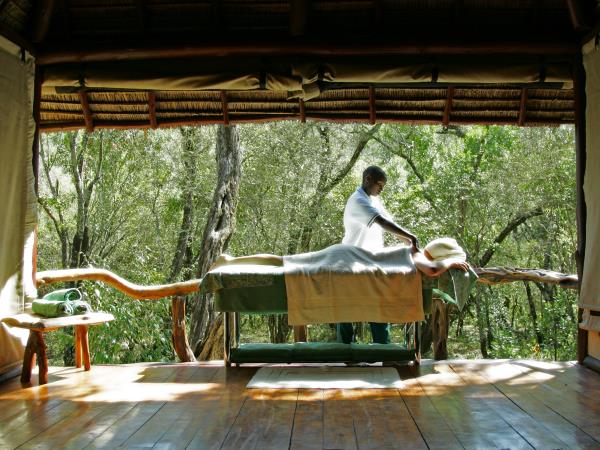 Kenya wildlife and Diani beach holiday