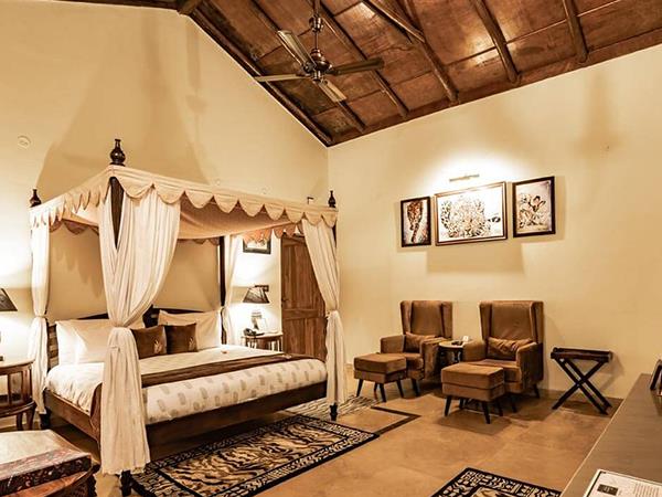 India safari holiday, lions tigers & bears