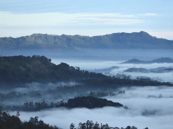 Sri Lanka tailor made holiday, 2 weeks