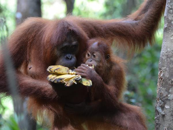 Vietnam to Singapore overland adventure holiday
