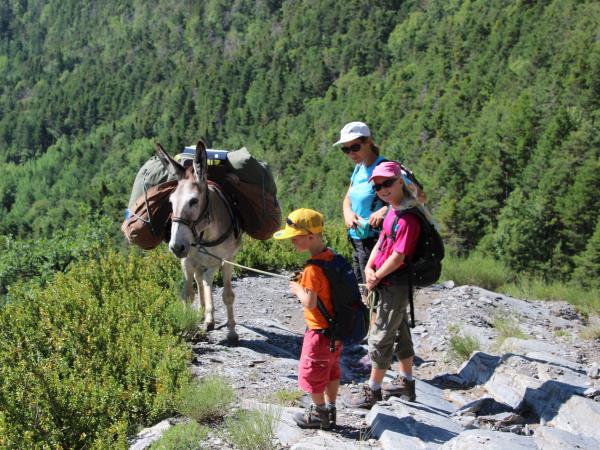 Mercantour family walking holiday, France