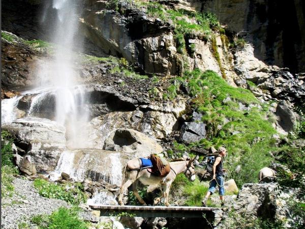 Mercantour family walking holiday, France