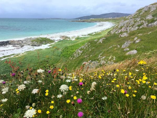 Hebrides wildlife cruise, Mingulay to the Shiants