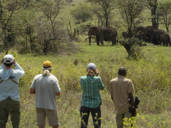 Tanzania holiday with Serengeti walking safari 
