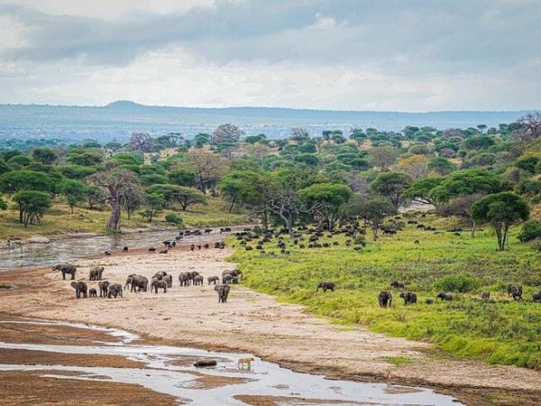 Tanzania holiday with Serengeti walking safari 