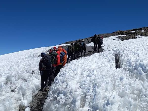 Kilimanjaro Lemosho route hiking in Tanzania