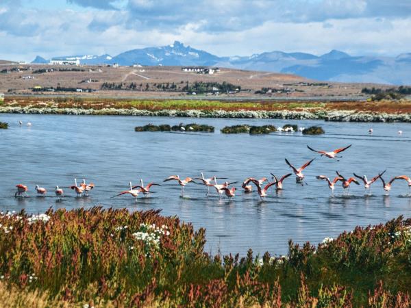 Active holiday in Patagonia, Argentina