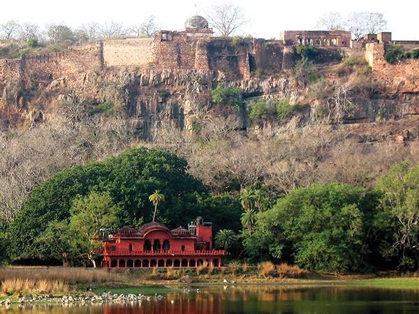 Golden Triangle with Ranthambore tour, India