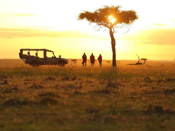Kenya birding and wildlife holiday