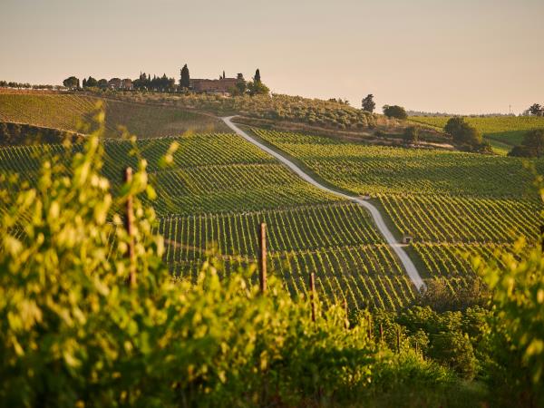 Tuscany cycling holiday, self guided