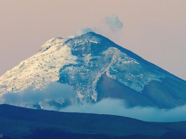 Amazon and Andes wildlife expedition in Ecuador