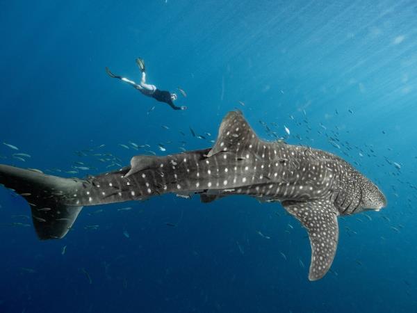 Asian island hopping cruise, Philippines and Indonesia