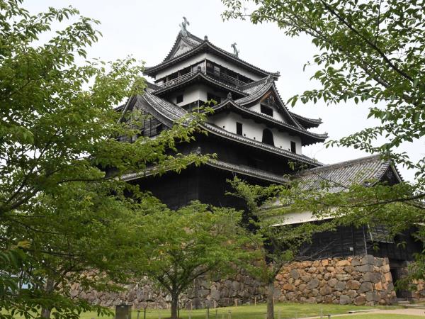 Luxury cruise in Japan & South Korea