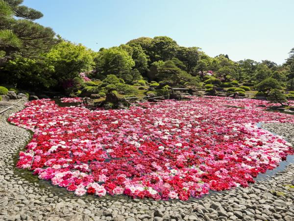Luxury cruise in Japan & South Korea