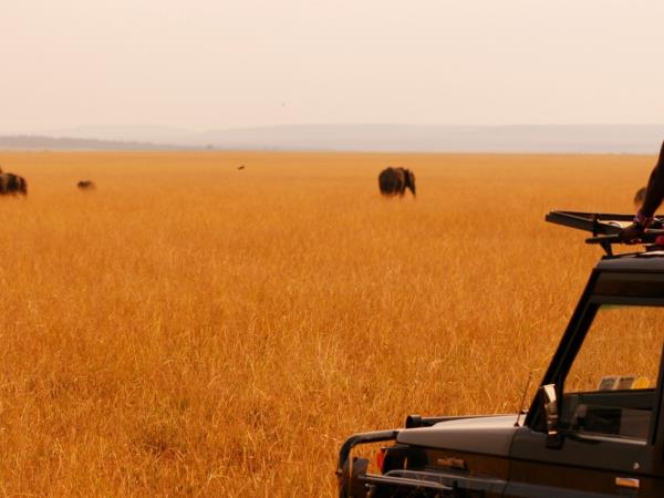 Kenya family safari and beach holiday