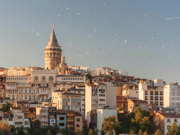 Turkey highlights holiday, in comfort