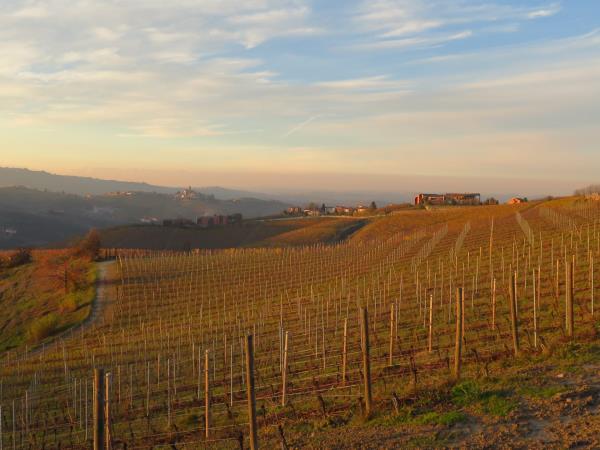Piedmont holiday in Italy, food, wine & culture