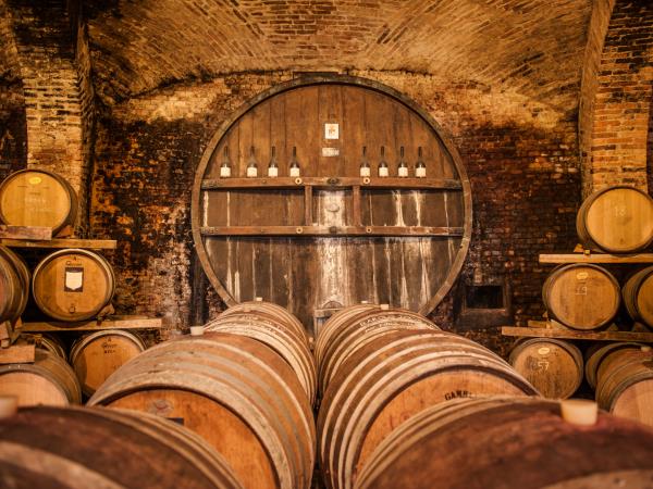 Piedmont holiday in Italy, food, wine & culture